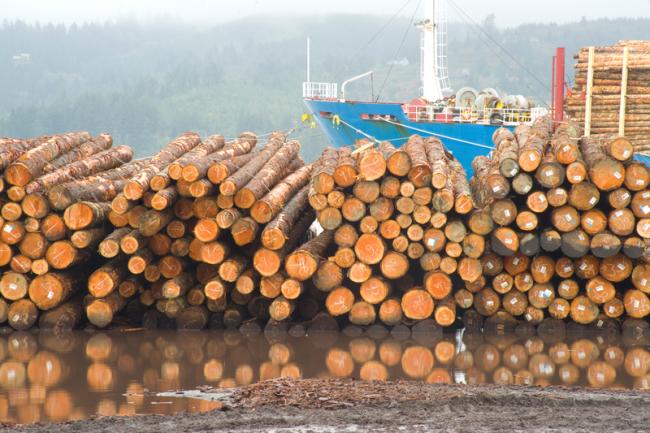 Image d'illustration - Trafic de grumes sur un port 