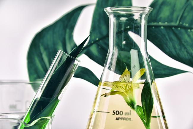 Chimie verte - photo d'illustration 
